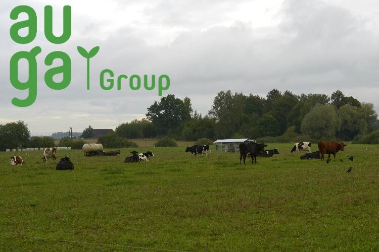 Dairy in the plans as EBRD invests in Auga Group