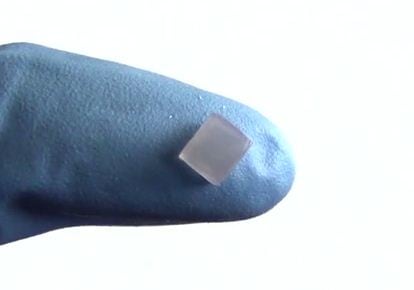 tag-on-finger.jpg