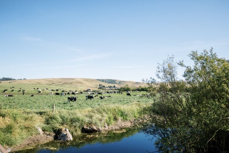 Organic Valley launches program to reach carbon neutrality without carbon offsets