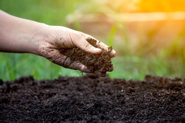 Land O’Lakes acquires soil software company Agren