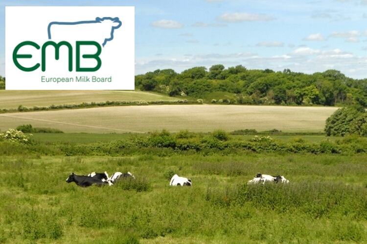EMB says drought spells trouble for sector in crisis