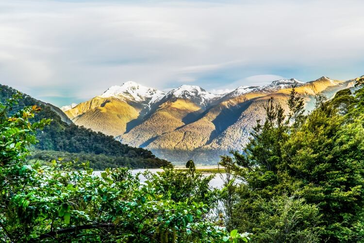 Westland to invest in carbon emissions reductions