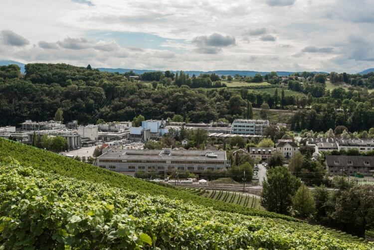 Firmenich opens new pilot plant in Geneva