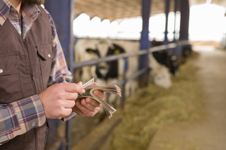 The-outlook-is-negative-Muller-Arla-slash-farmgate-milk-prices.jpg