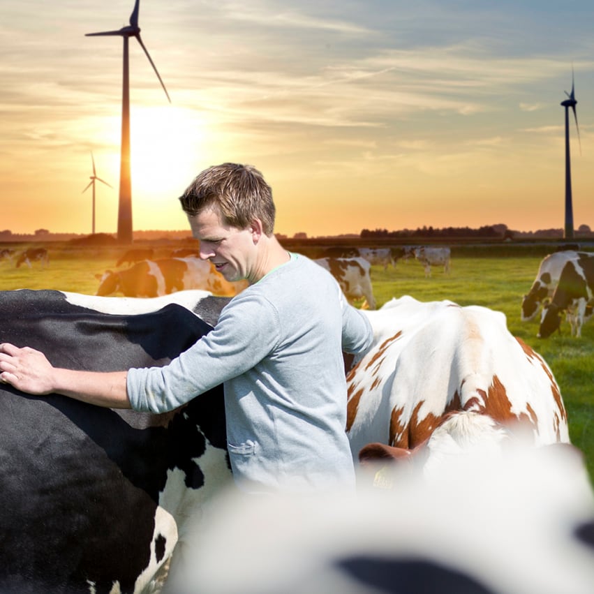 FrieslandCampina and Mondelēz team up on project to boost dairy farm sustainability 