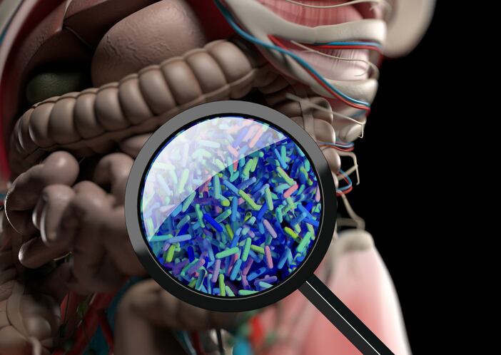 Fonterra and APC Microbiome Ireland partner to establish cutting-edge research centre