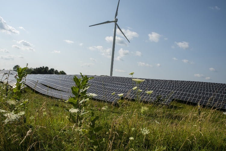 Organic Valley secures 100% renewable power