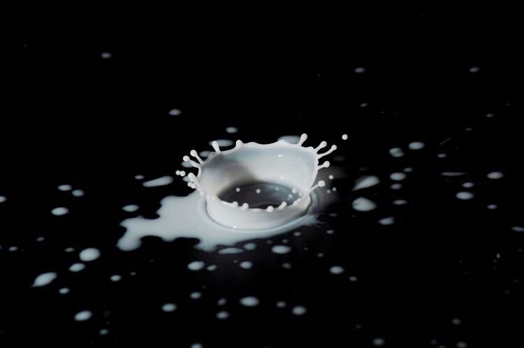 Disrupting cow, sheep, goat & donkey milk: Cell cultivated start-up Senara emerges from stealth