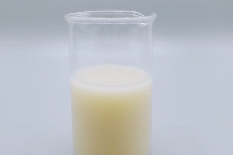 Sophie's Bionutrients develops world's first dairy-free micro-algae based milk alternative