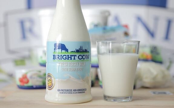 bright-cow.jpg