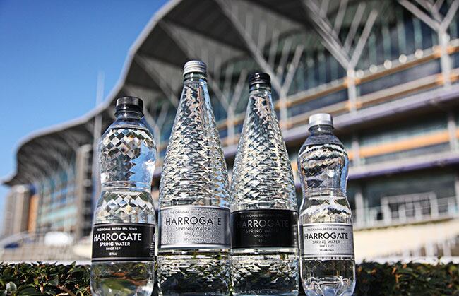 ascot-harrogate.jpg