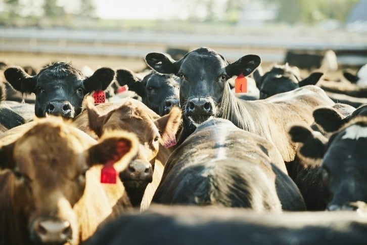 How to get started with methane mitigation