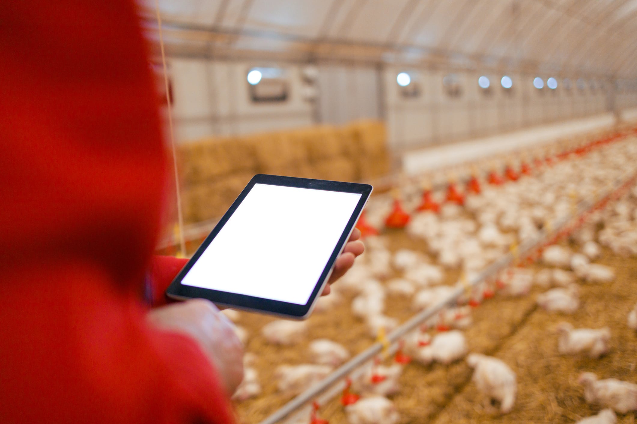 Munters launches Speria brand as early deployments deliver measurable gains in livestock performance
