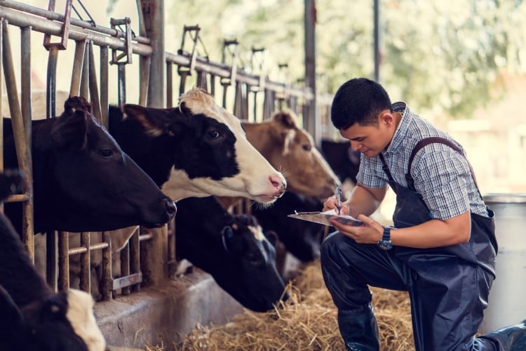 ‘Government has an important role to play’: Arla makes its case for government collaboration over labor shortages