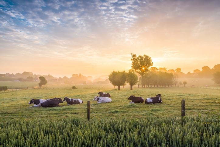 ‘Wellness, sustainability and food security’: The emerging leadership opportunities for US dairy