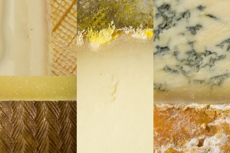 Canada: Le Fromage au Village recalls all cheese