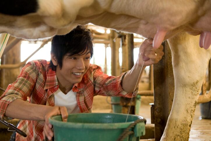 Bovaer's global reach expands: Japan next in line for market introduction 