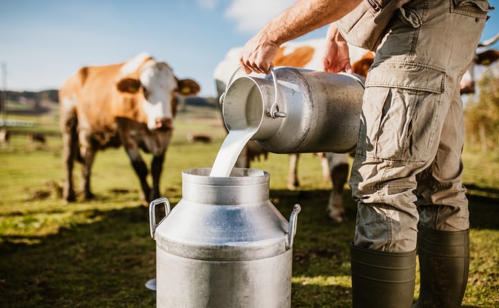 Specialised nutrition boost: Australia’s milk powder manufacturer sets sights in functional ingredients business  