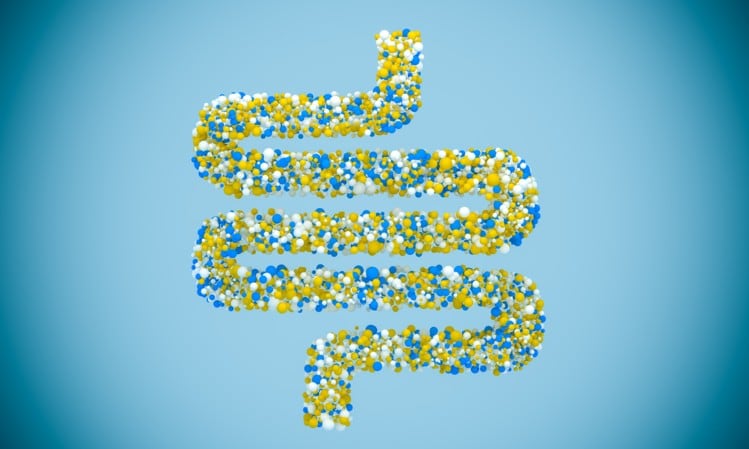 Powder push: Australia’s Jatcorp to manufacture own line of probiotics-containing milk powder