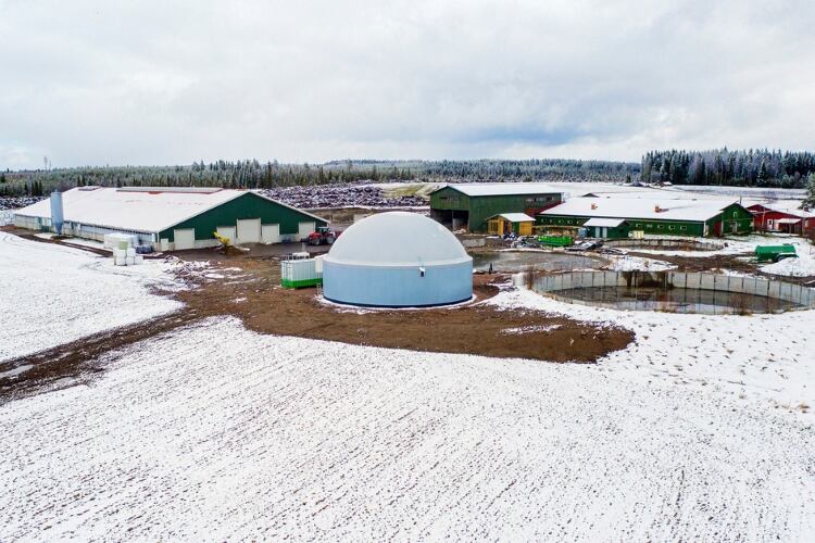 Valio and St1 to produce biogas from manure
