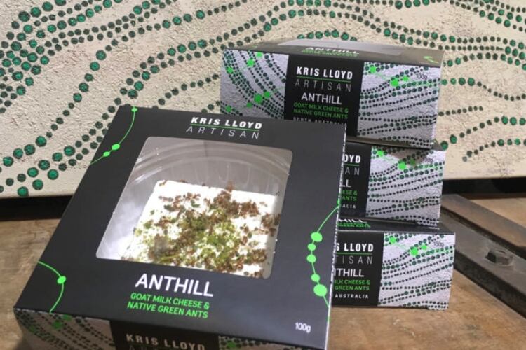 American exports up the ant-e for Australian insect cheese