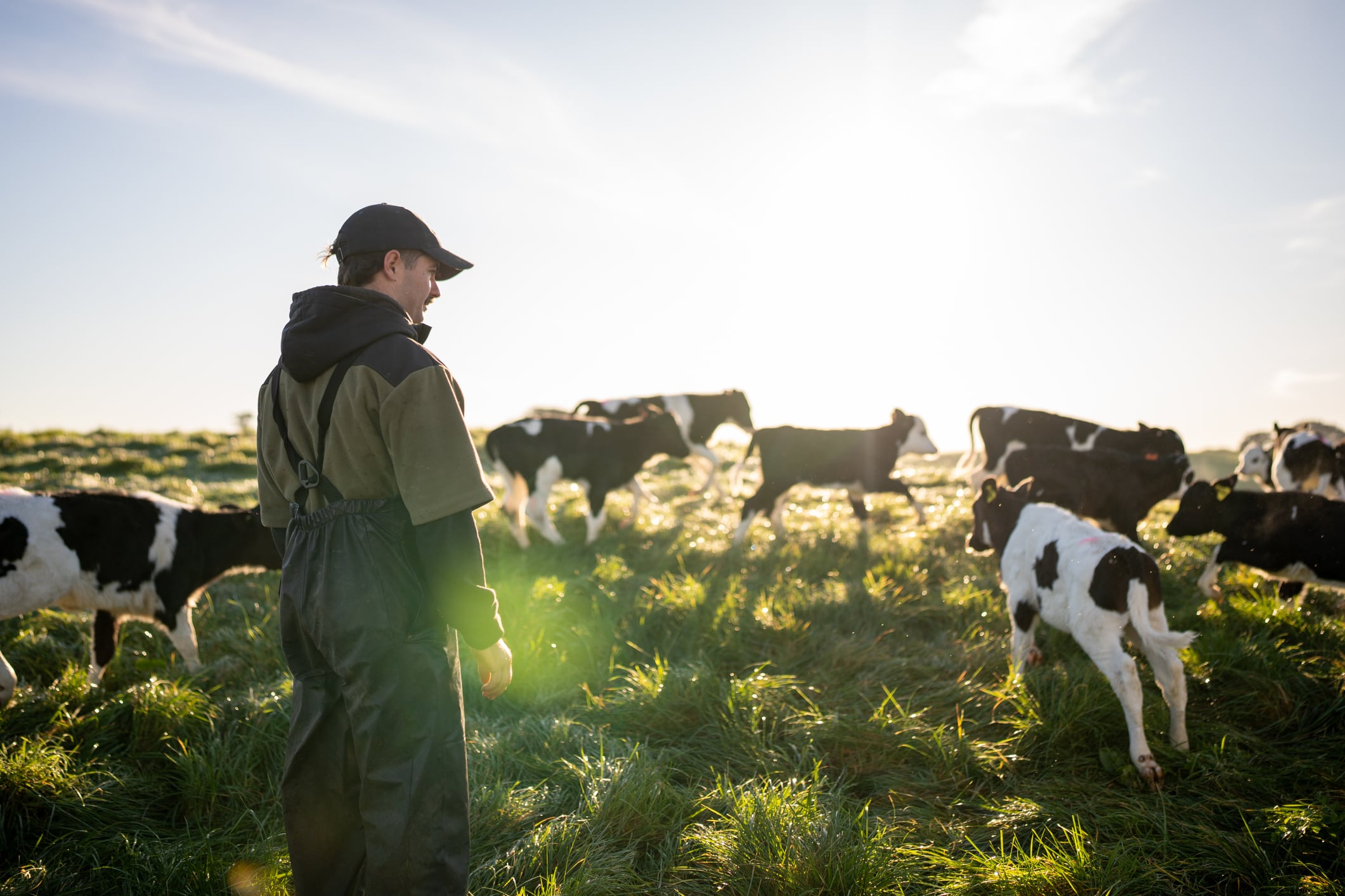 Which were Ireland's biggest food and drink exports in 2024?