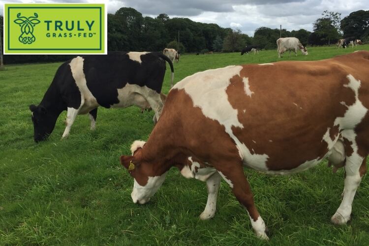 Glanbia’s “Truly Grass Fed” ingredients certified Animal Welfare Approved