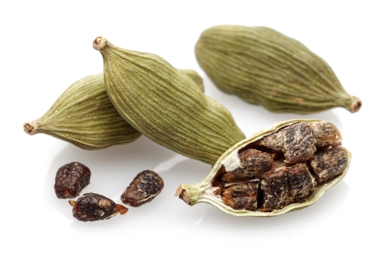 cardamom-MahirAtes.jpg