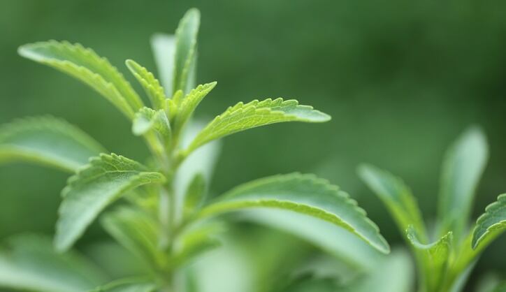Stevia: Further improving sensory attributes