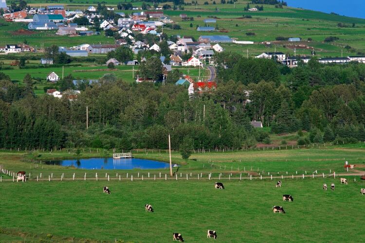 Canadian government funding for three Quebec dairy processors