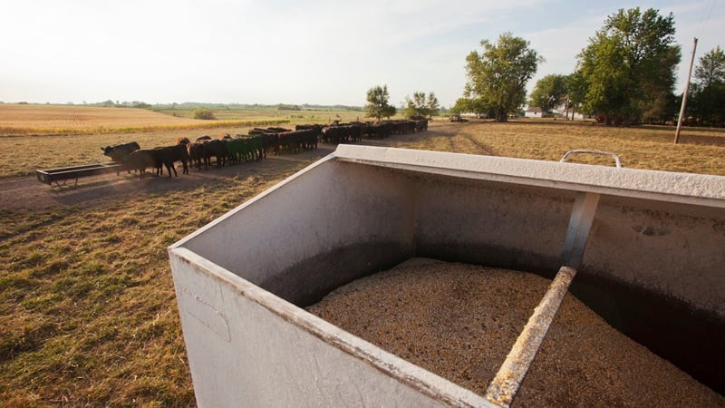 A feed bin on a farm