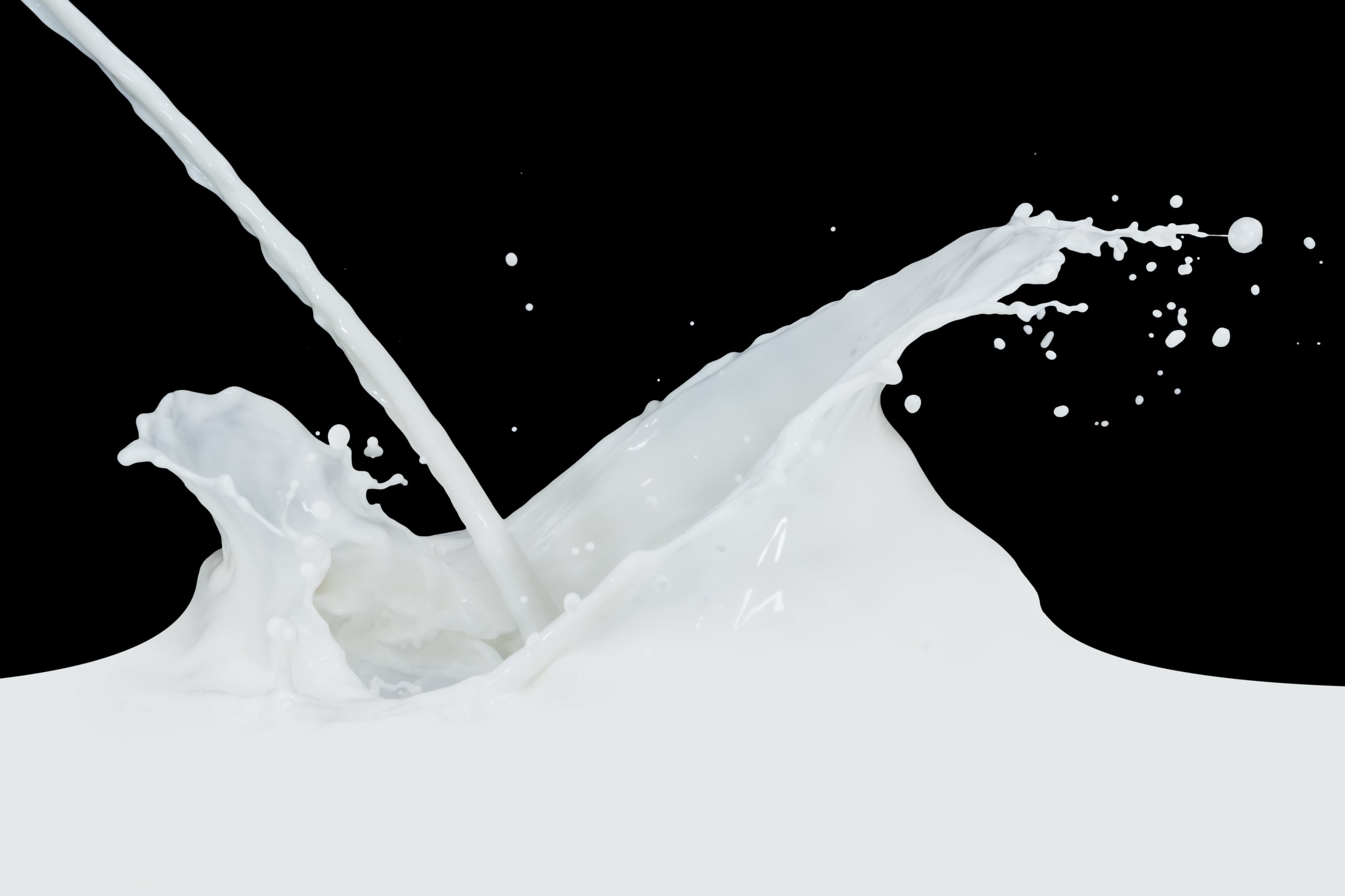 splashing milk isolated on black background