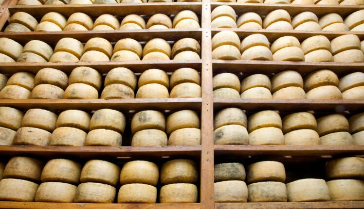 China Focus: Cheese imports, e-commerce, local plant-based investments and more feature in our round-up