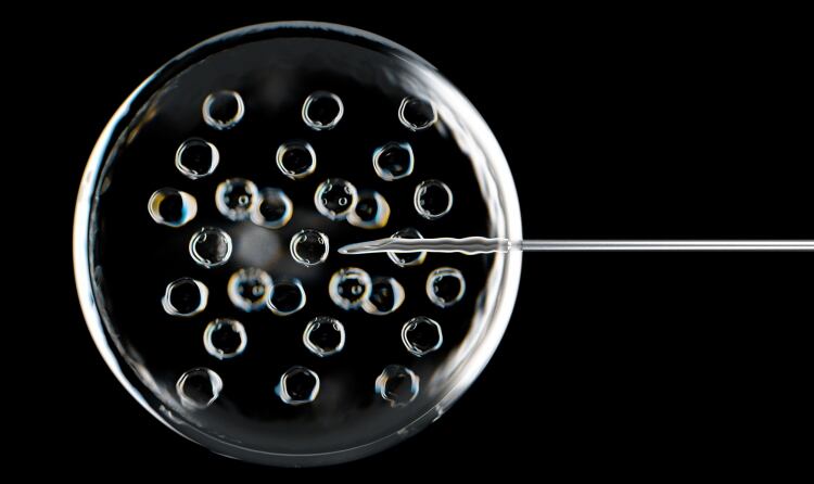 We-saw-huge-potential-to-disrupt-the-market-TurtleTree-unveils-world-first-cultivated-bovine-lactoferrin.jpg
