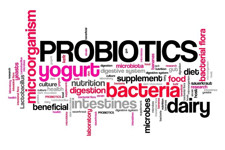 Danone looks to bust microbiome myths