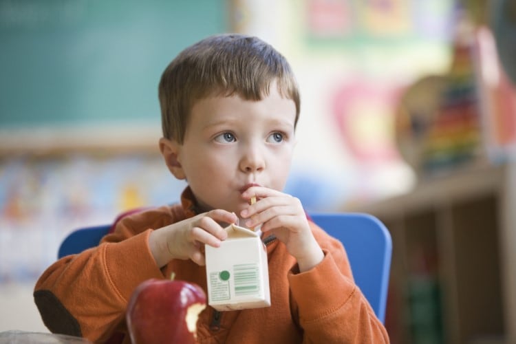 Will whole milk return to US schools? Congress set to vote on bill that enjoys 'strong bipartisan support'