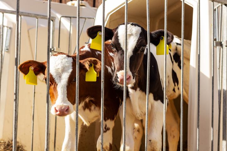 USDA authorizes $16bn aid package for US farmers