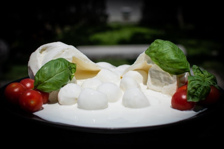 Organic Italian cheese plant coming to Indiana