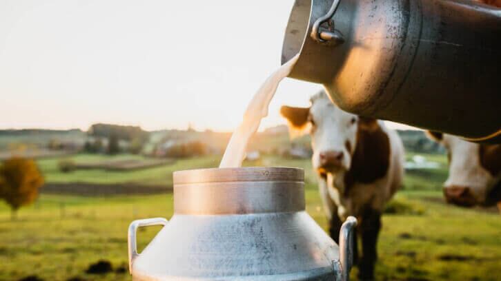 How-the-Regenivore-movement-is-shaping-dairy.jpg