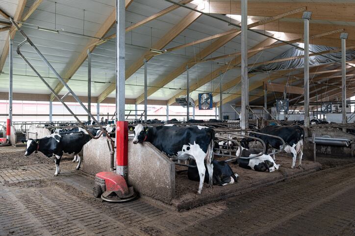 Valio to focus on tackling methane emissions in barn air