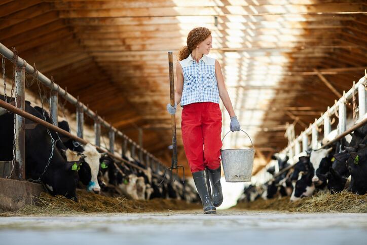 IDFA debuts Women in Dairy Network