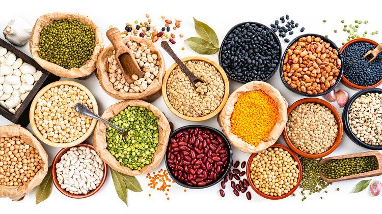 Industry Insights from NIZO: Using bio-purification to increase the value of plant proteins