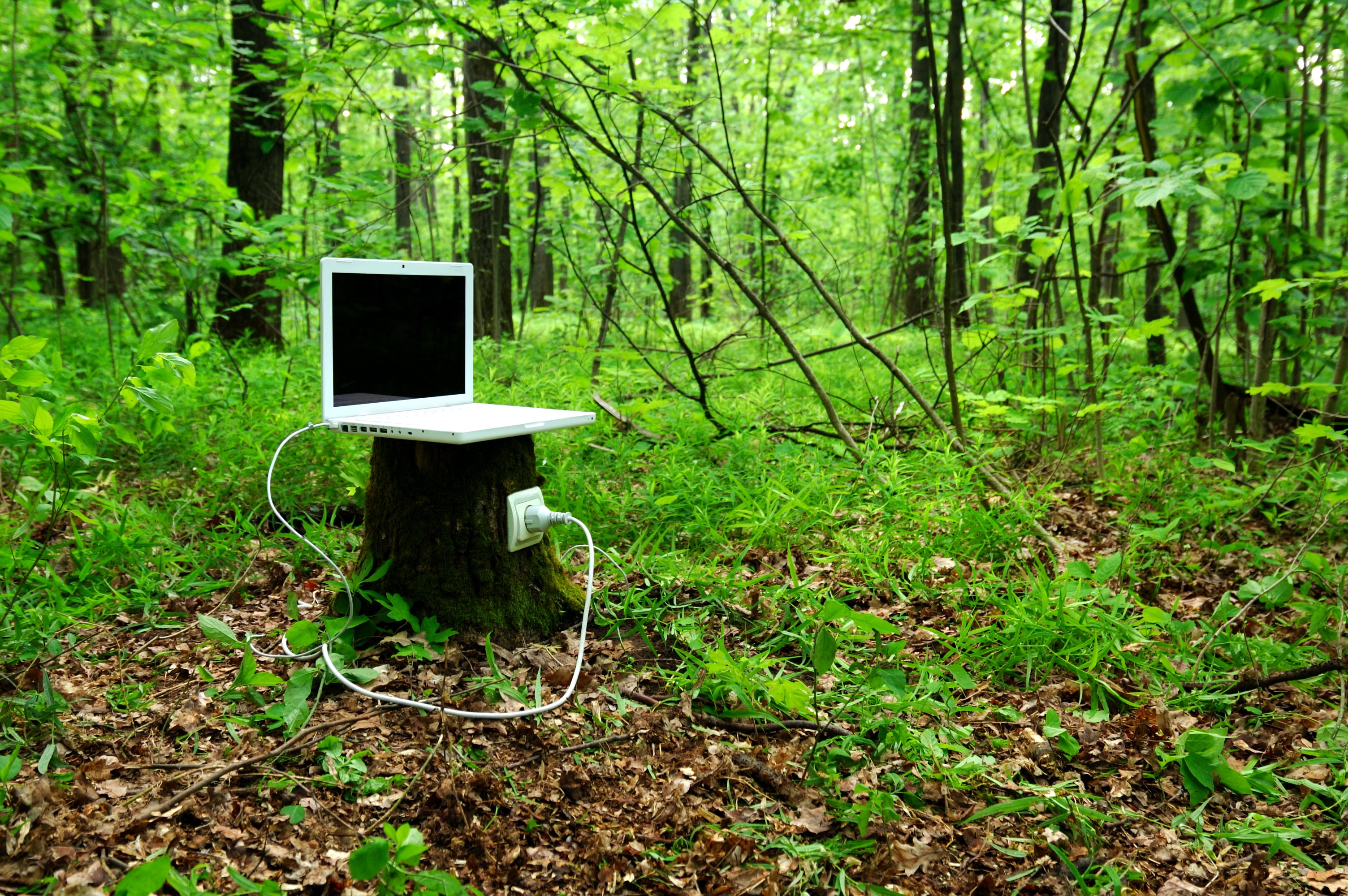 Laptop on stump is charging with help of nature