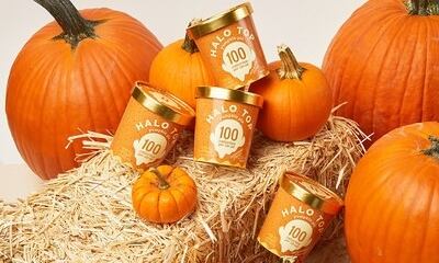 sep18-halo-top-pumpkin.jpg