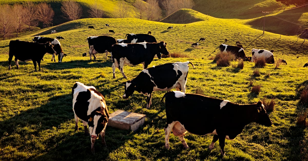 From Kerry Dairy to Kinisla: Can the rebrand deliver?
