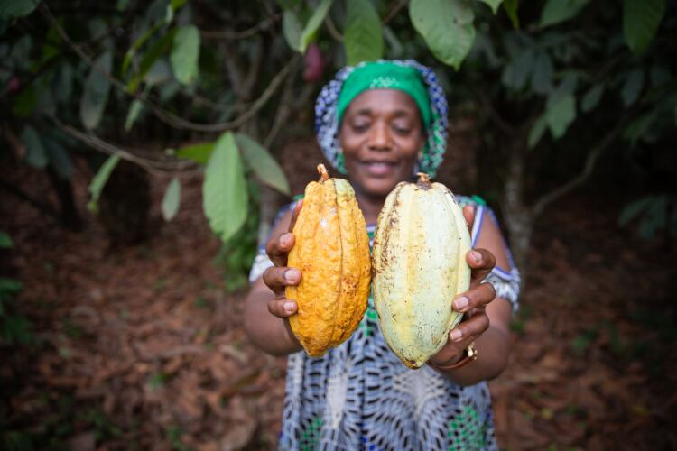 GettyImages-Matteo-Guedia-cocoa-farmer.png