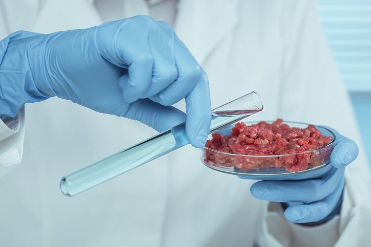 Report pushes for more sustainable proteins investment in UK