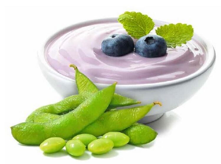 Overcoming the challenges of plant protein application