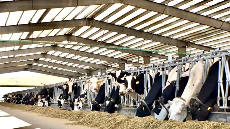 Cargill donates thousands to University of Idaho large scale dairy research project 