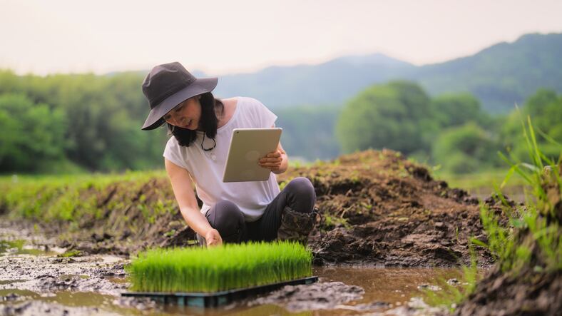 ‘Pick low-hanging fruits’: Three key opportunities that can unlock Asia’s agrifood potential